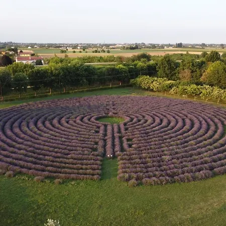 La Tenuta Va Oltre Farm stay *