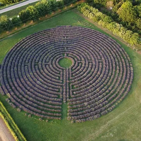La Tenuta Va Oltre * Bovolenta