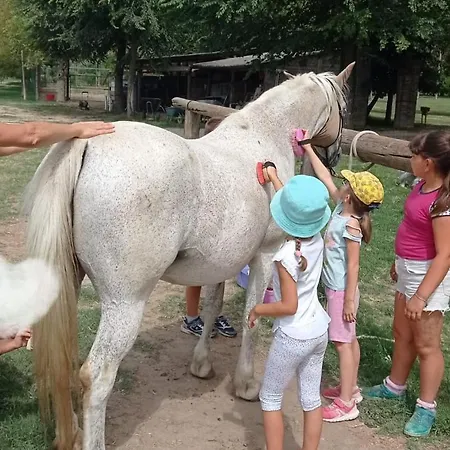 La Tenuta Va Oltre Bovolenta