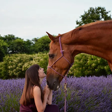 Farm stay La Tenuta Va Oltre