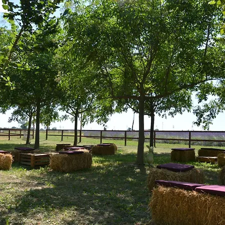 Farm stay La Tenuta Va Oltre Bovolenta