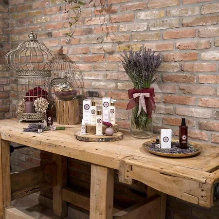 La Tenuta Va Oltre Farm stay Bovolenta