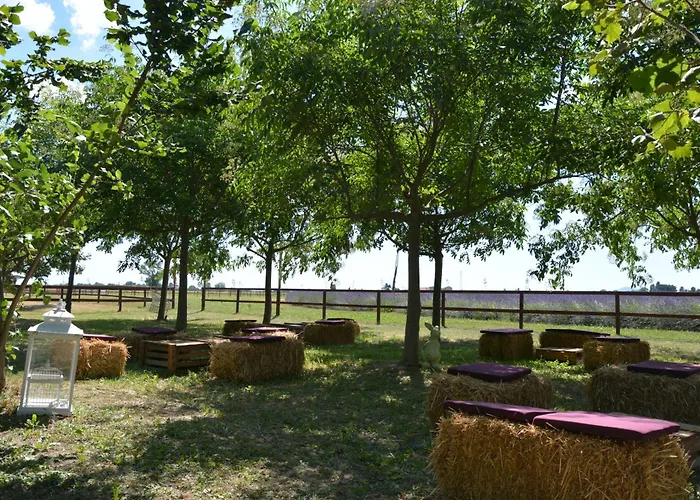 Farmház La Tenuta Va Oltre Bovolenta